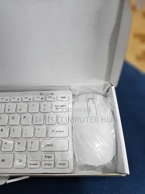 Portable Wireless Keyboard and Mouse
