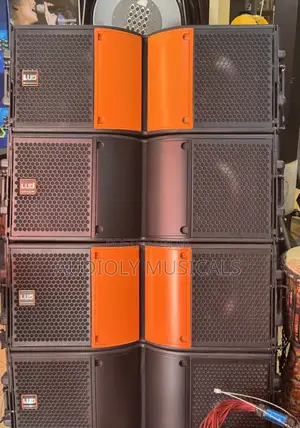 L U D 12-Inches Line Array