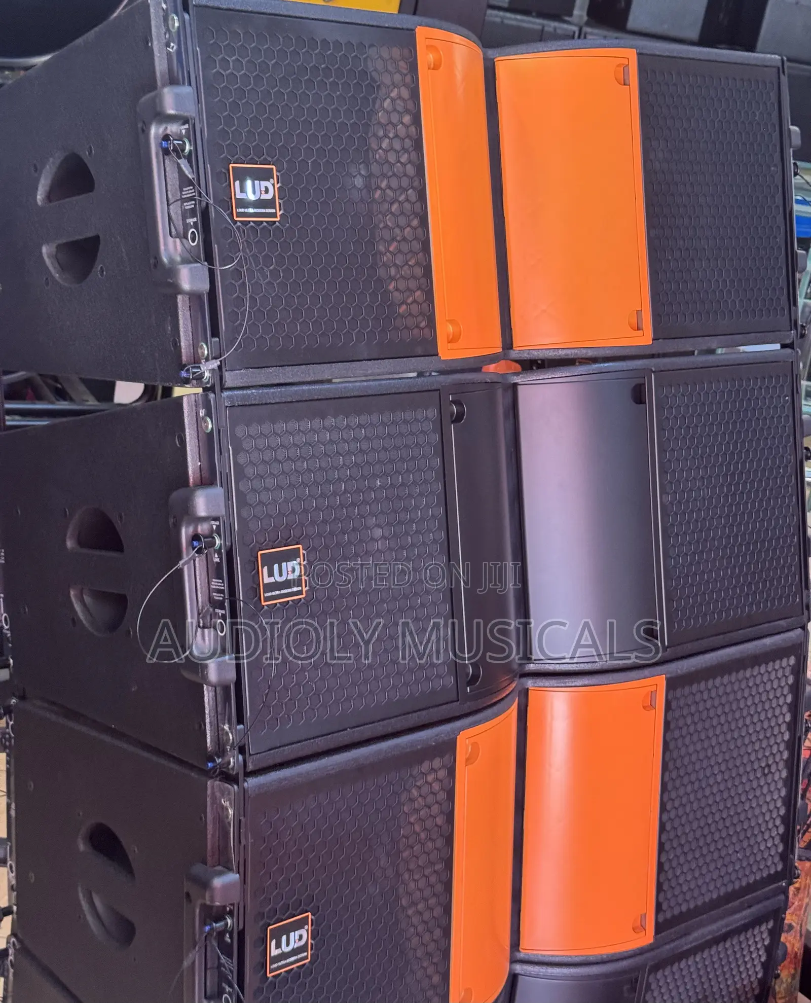 L U D 12-Inches Line Array