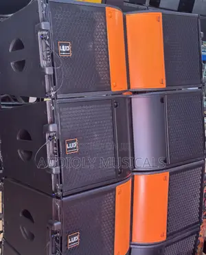 L U D 12-Inches Line Array
