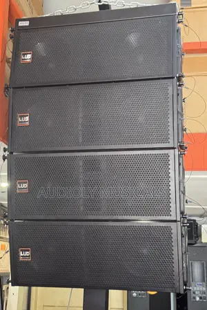 L U D 12- Inches Line Array Speakers