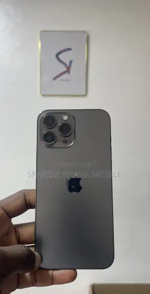 Apple iPhone 13 Pro Max 256 GB Gray
