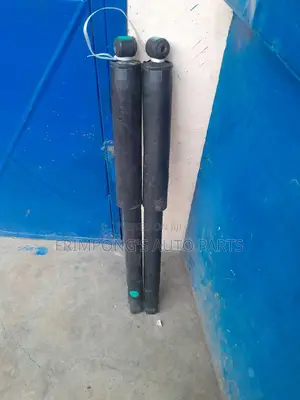 Ford F150 Back Shocks