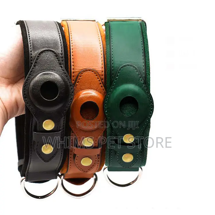Leather Airtag Collar