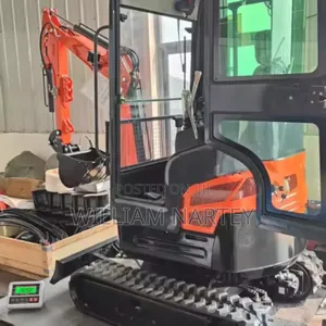 2.5ton Mini Crawler/Excavator