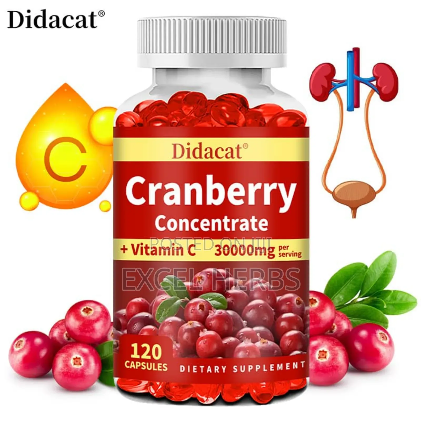 Didacat Cranberry Concentrate +Vitamin C 30000mg Per Serving