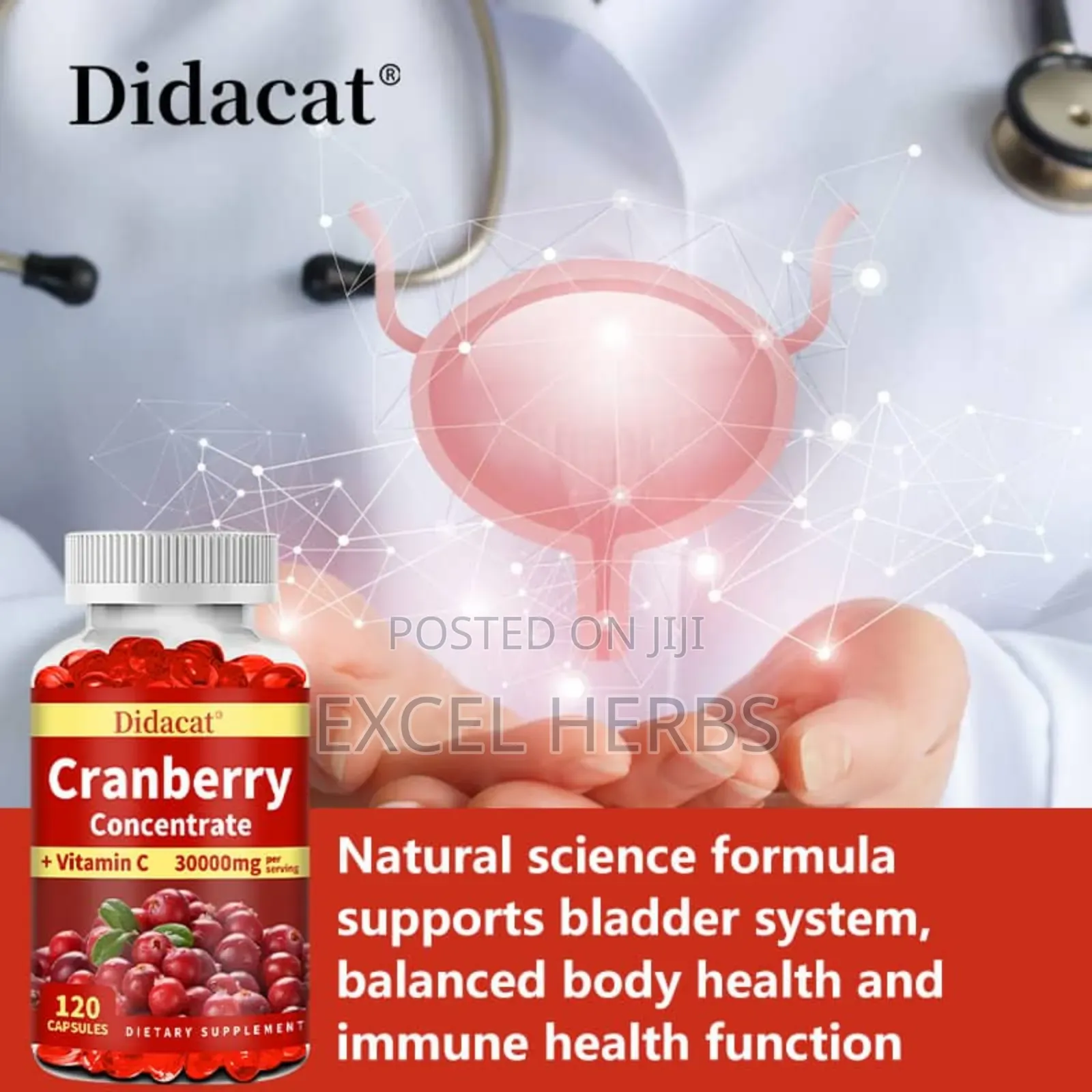Didacat Cranberry Concentrate +Vitamin C 30000mg Per Serving