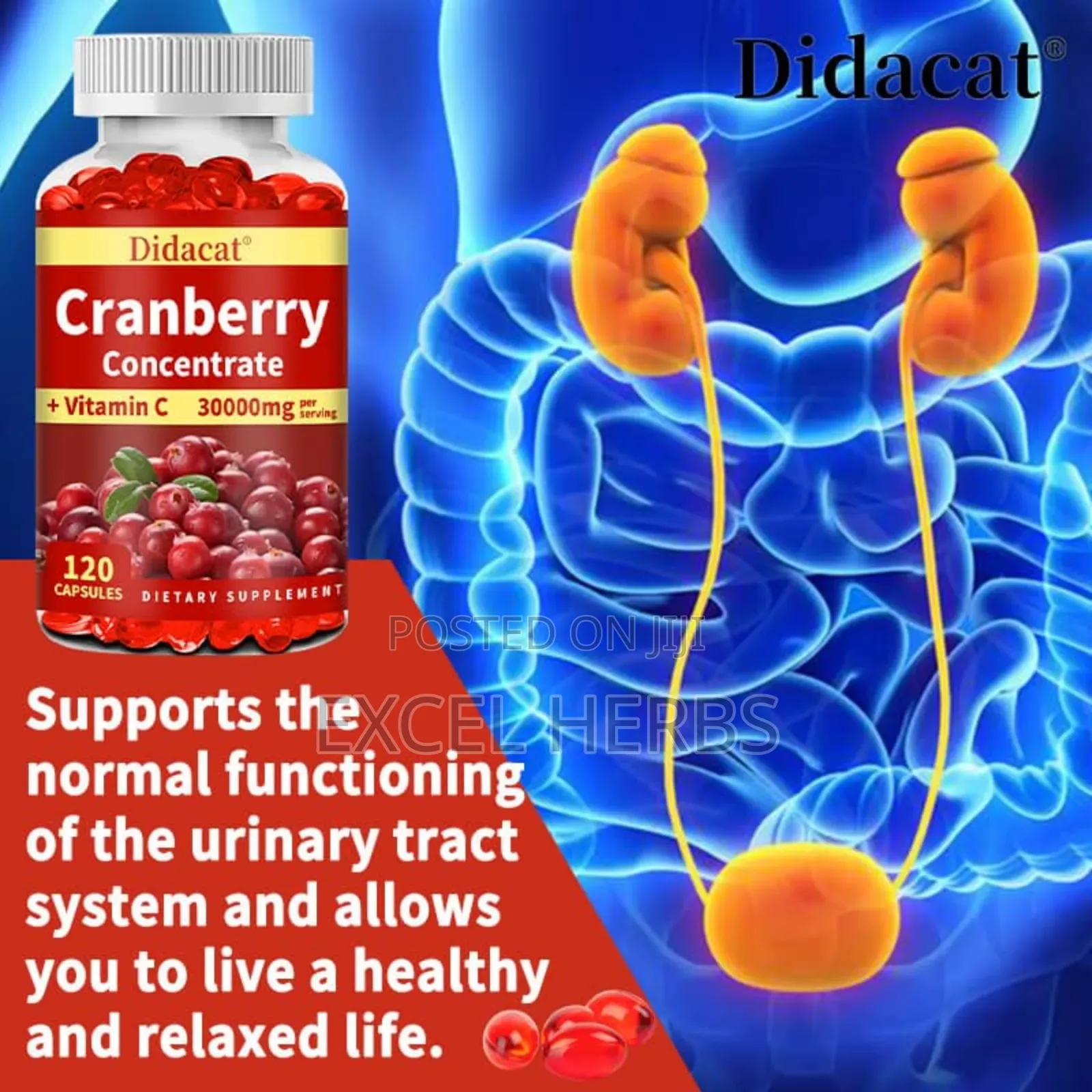 Didacat Cranberry Concentrate +Vitamin C 30000mg Per Serving
