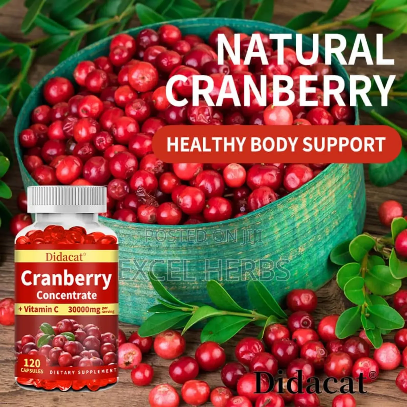 Didacat Cranberry Concentrate +Vitamin C 30000mg Per Serving