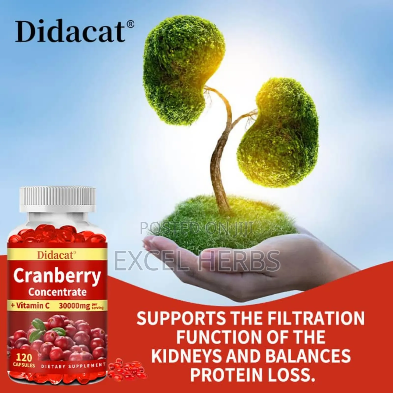 Didacat Cranberry Concentrate +Vitamin C 30000mg Per Serving