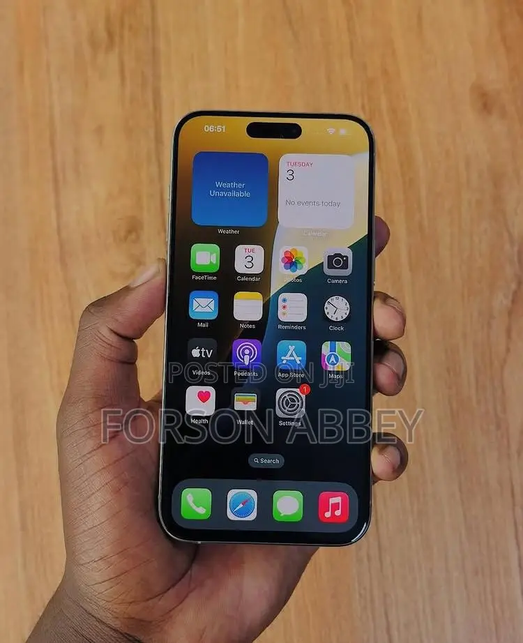 Apple iPhone 15 Pro Max 256 GB Silver