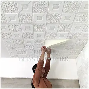 3d Foam Sticker Wall and Ceiling