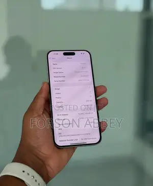 Apple iPhone 15 Pro Max 256 GB Silver