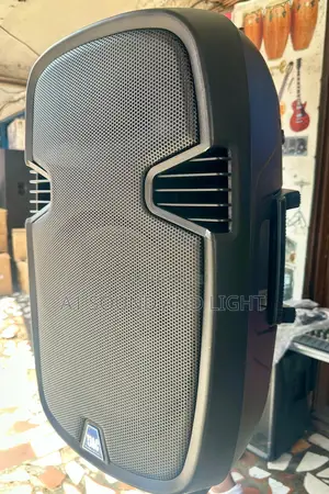 Jac 15 Inch Rechargeable Pa Speaker Set