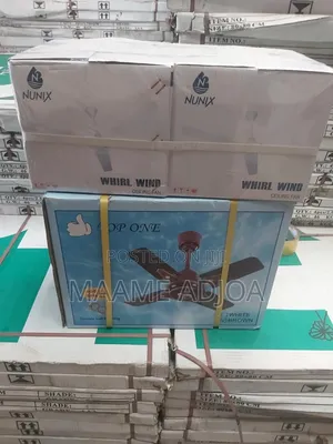 Ceiling and Standing Fans