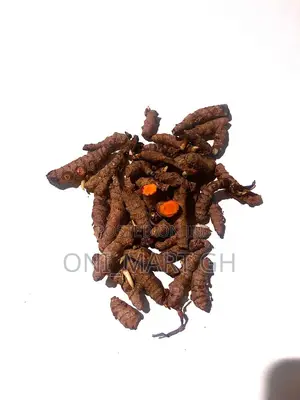 Fresh Organic Turmeric Root