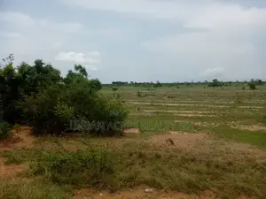 Gt/Accra - Sege, (Battor Road) _ 638 Acres Mixed-Use Land