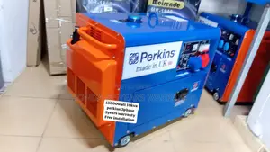 Energizing Your Business Growth With 10kva 13000watt Perkins
