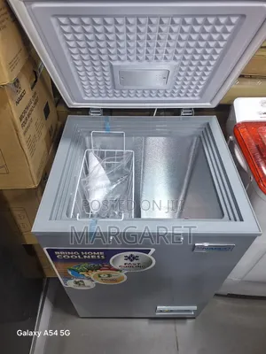 Stainless Steel Nasco 100 Litters Chest Freezer