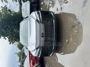 Lexus Rx350 2023 2024 Front Bumper Available