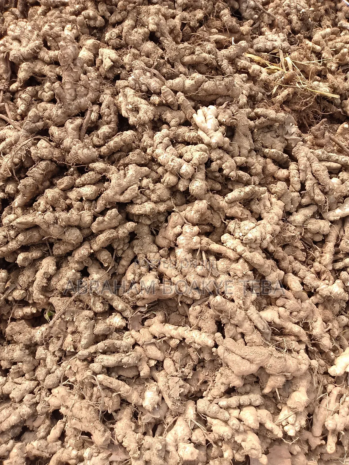 Bag of Ginger