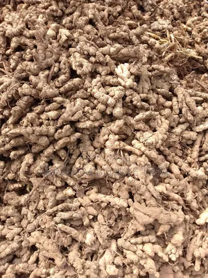 Bag of Ginger