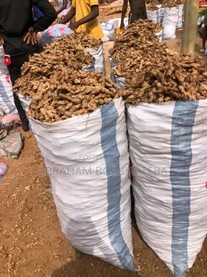 Bag of Ginger