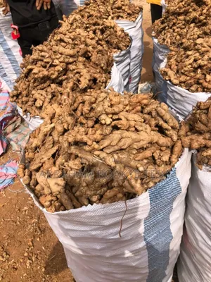 Bag of Ginger
