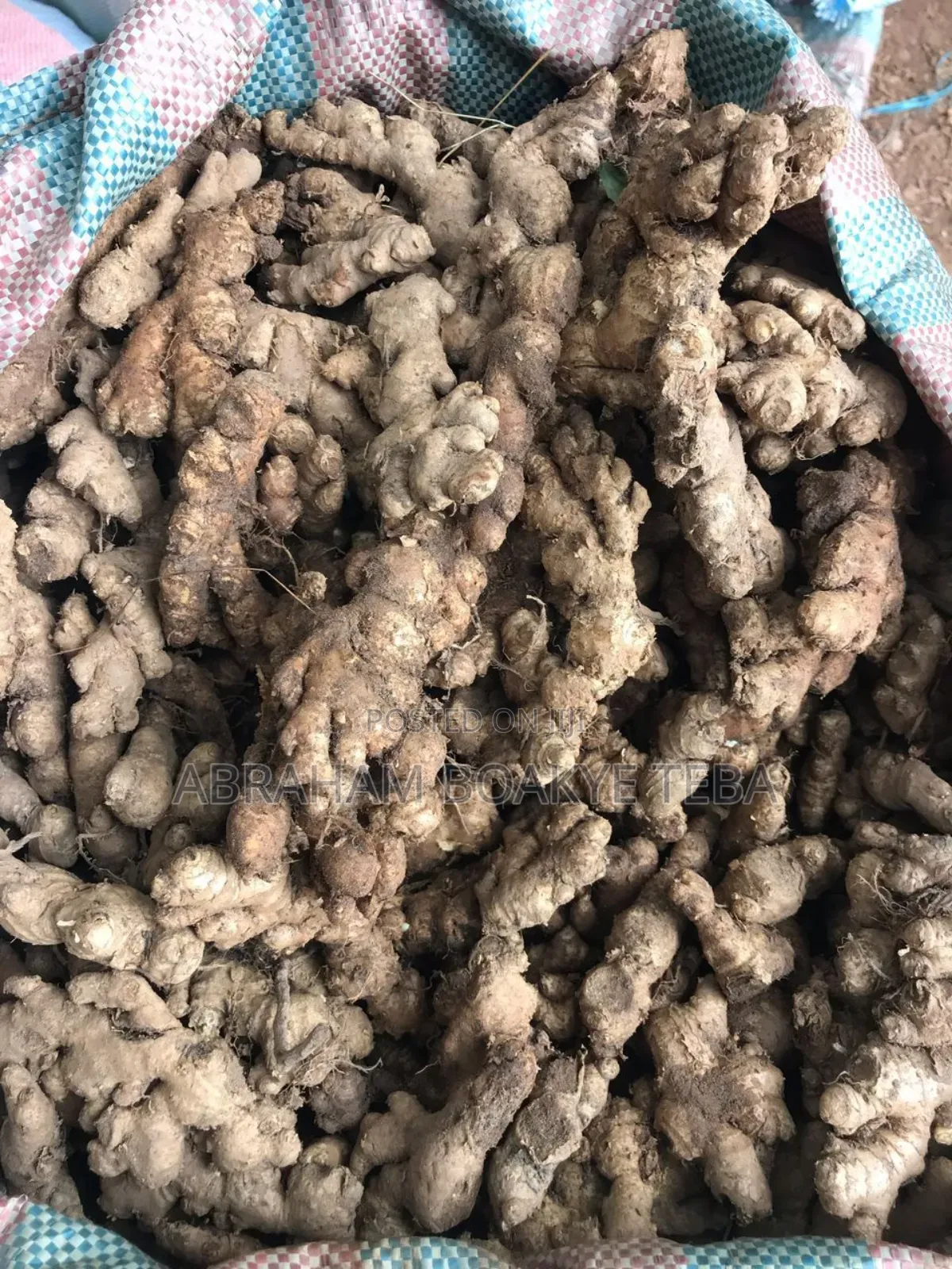 Bag of Ginger