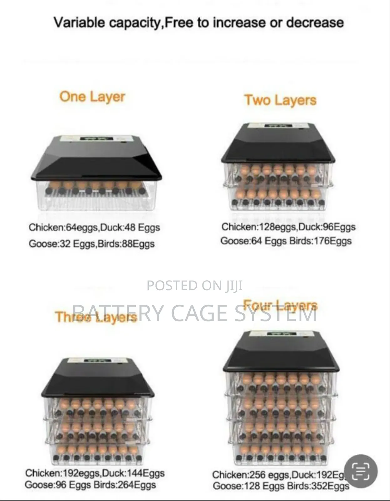 Dual Power Supply Automatic Incubator