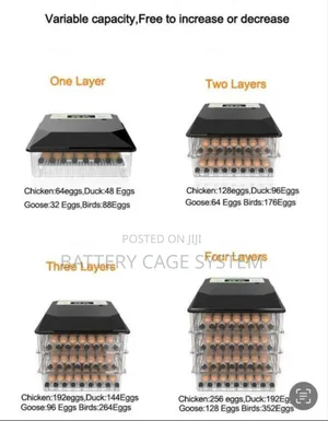 Dual Power Supply Automatic Incubator