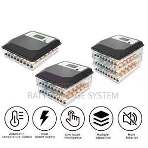 Dual Power Supply Automatic Incubator