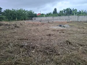 One Full Plot of Land for Sale in Sokoban Afrancho