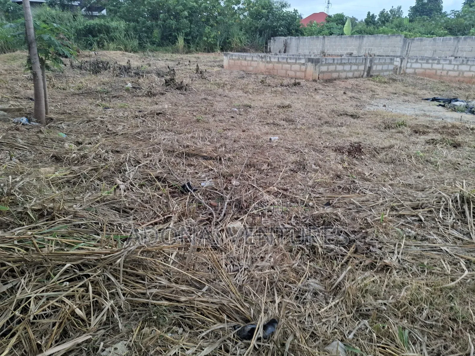 One Full Plot of Land for Sale in Sokoban Afrancho