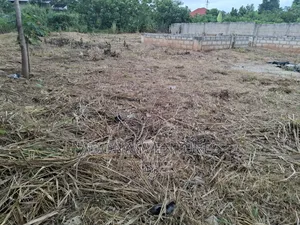 One Full Plot of Land for Sale in Sokoban Afrancho