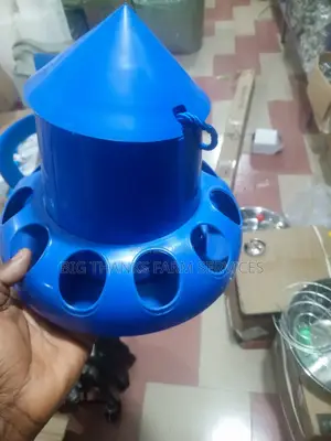 Feeders For Chicks