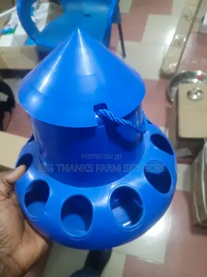 Feeders For Chicks