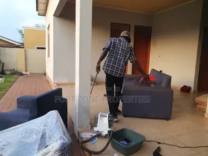 Sofa,Couch Cleaning and Packaging Services With Cleantex