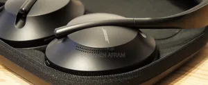 Bose Echo Flow Headphones