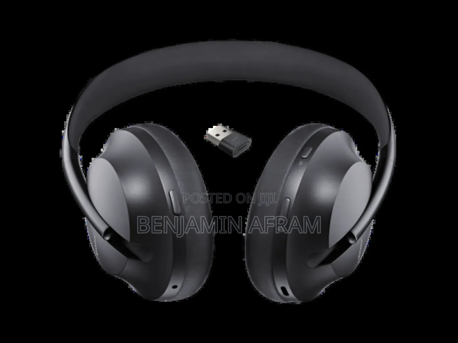 Bose Echo Flow Headphones