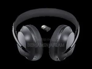 Bose Echo Flow Headphones