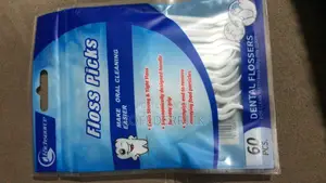 Dental Floss Picks (60pcs) - Mint