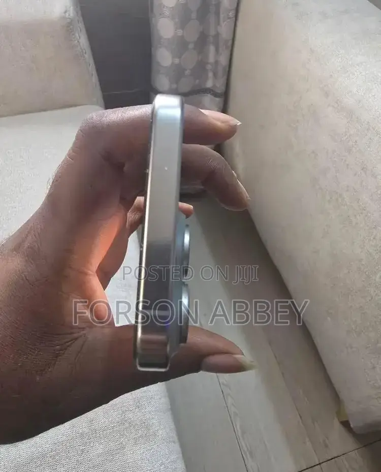 Apple iPhone 15 Pro Max 256 GB Silver