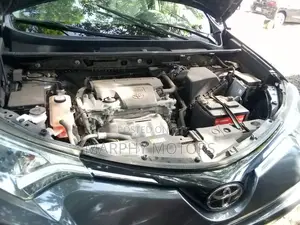 Toyota RAV4 XLE AWD (2.5L 4cyl 6A) 2017 Gray