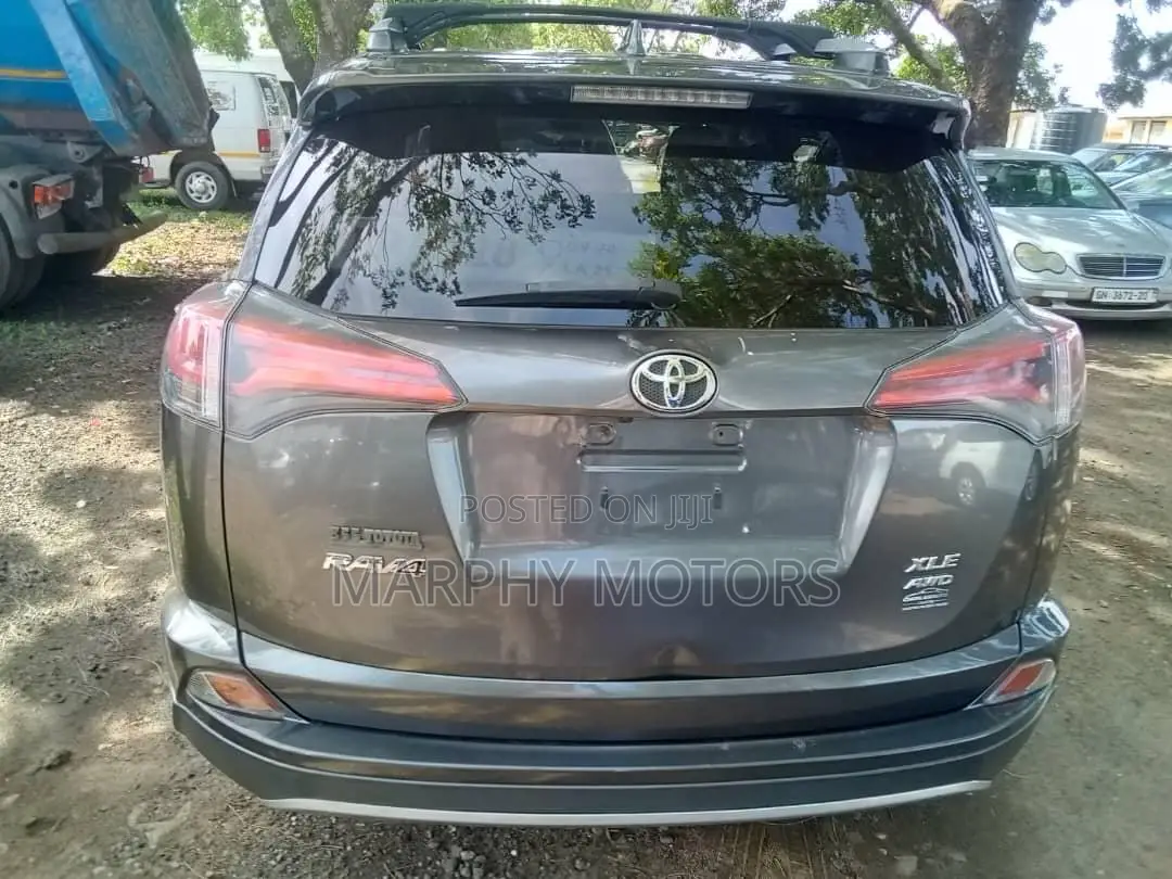 Toyota RAV4 XLE AWD (2.5L 4cyl 6A) 2017 Gray
