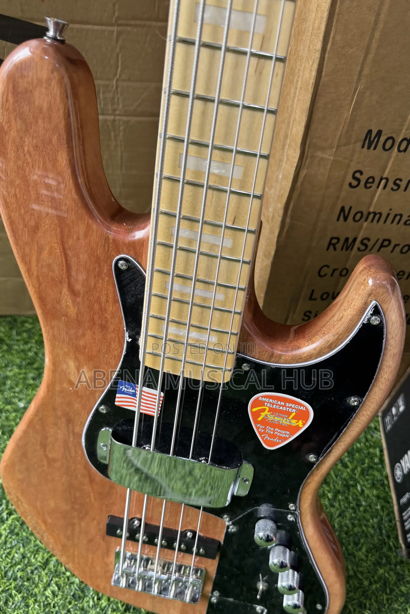 Fender Bass Guitar Active