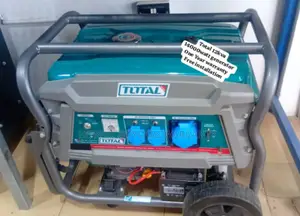 Pure Energy for Sustainable Life Total Generator 12kva