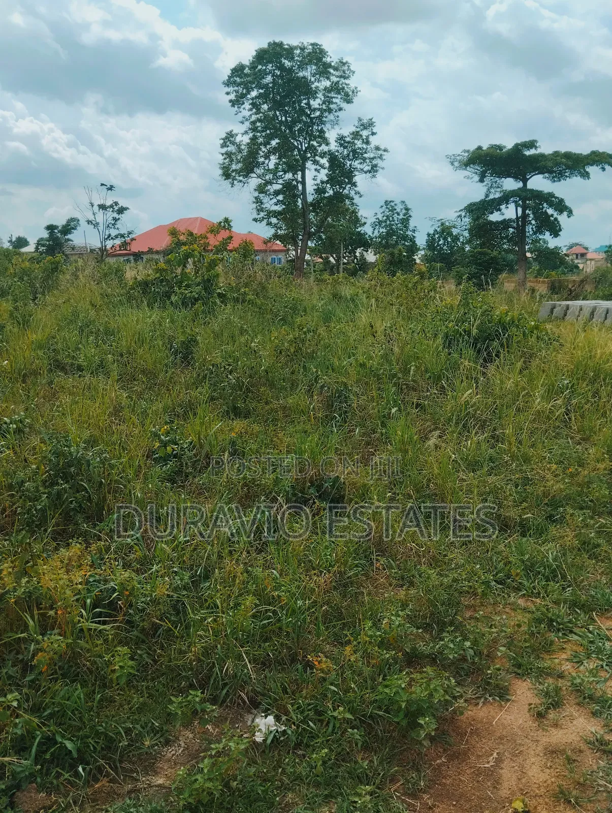 Plot in Adumakase