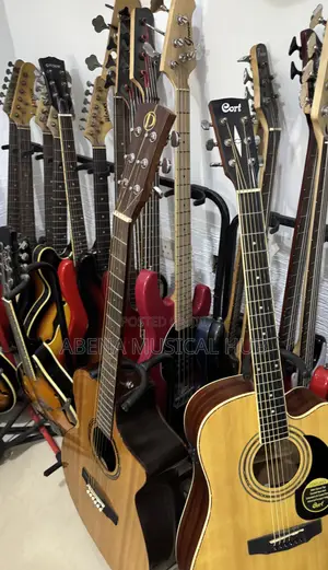 Gibson Semi -Acoustic Guitar