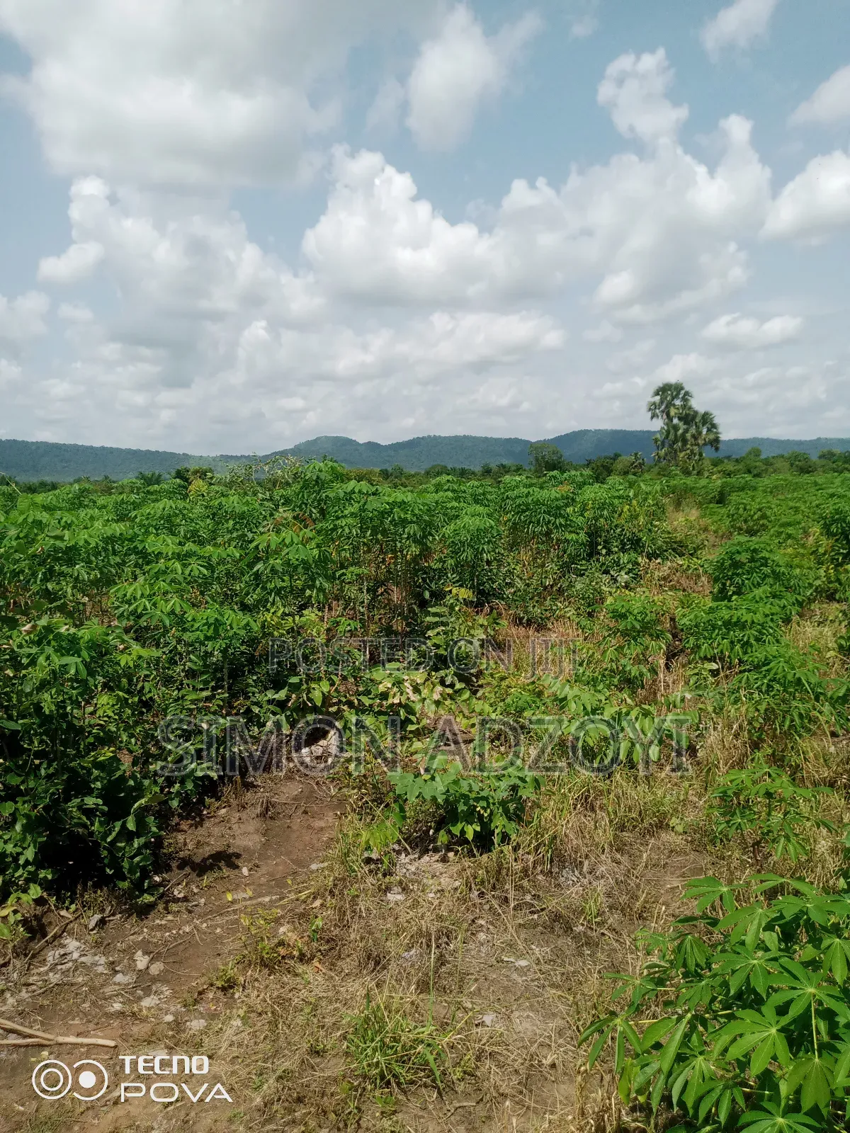60 Acres Of Farm Land For Sale On The Mountain